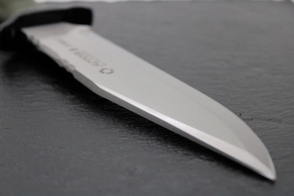 Aitor Bowie Nato