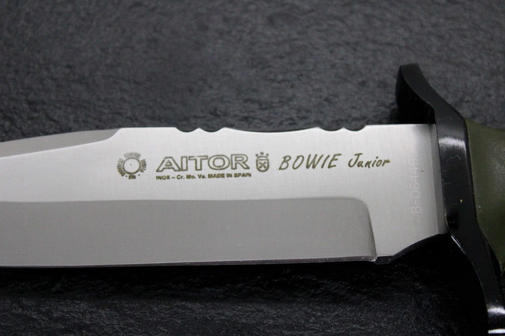 Aitor Bowie Juniur