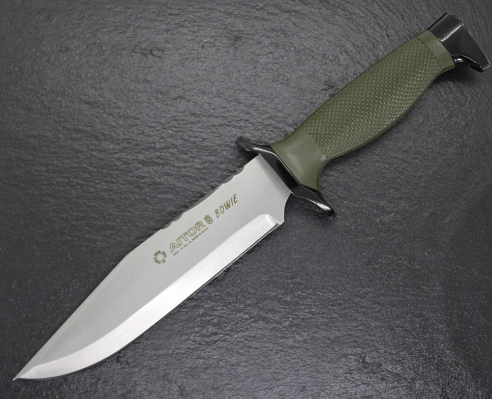Aitor Bowie Nato