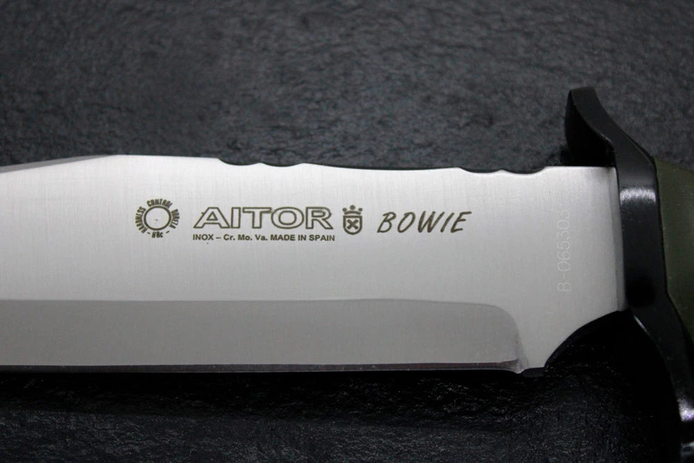 Aitor Bowie Nato